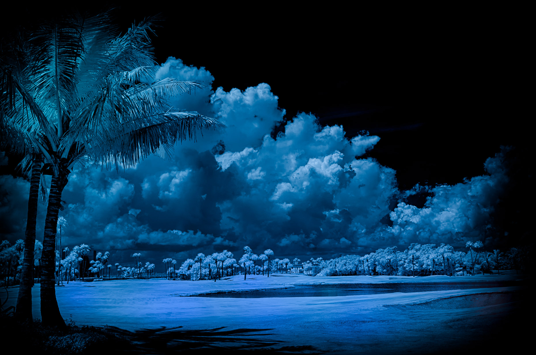 20130823_sailfish_0013