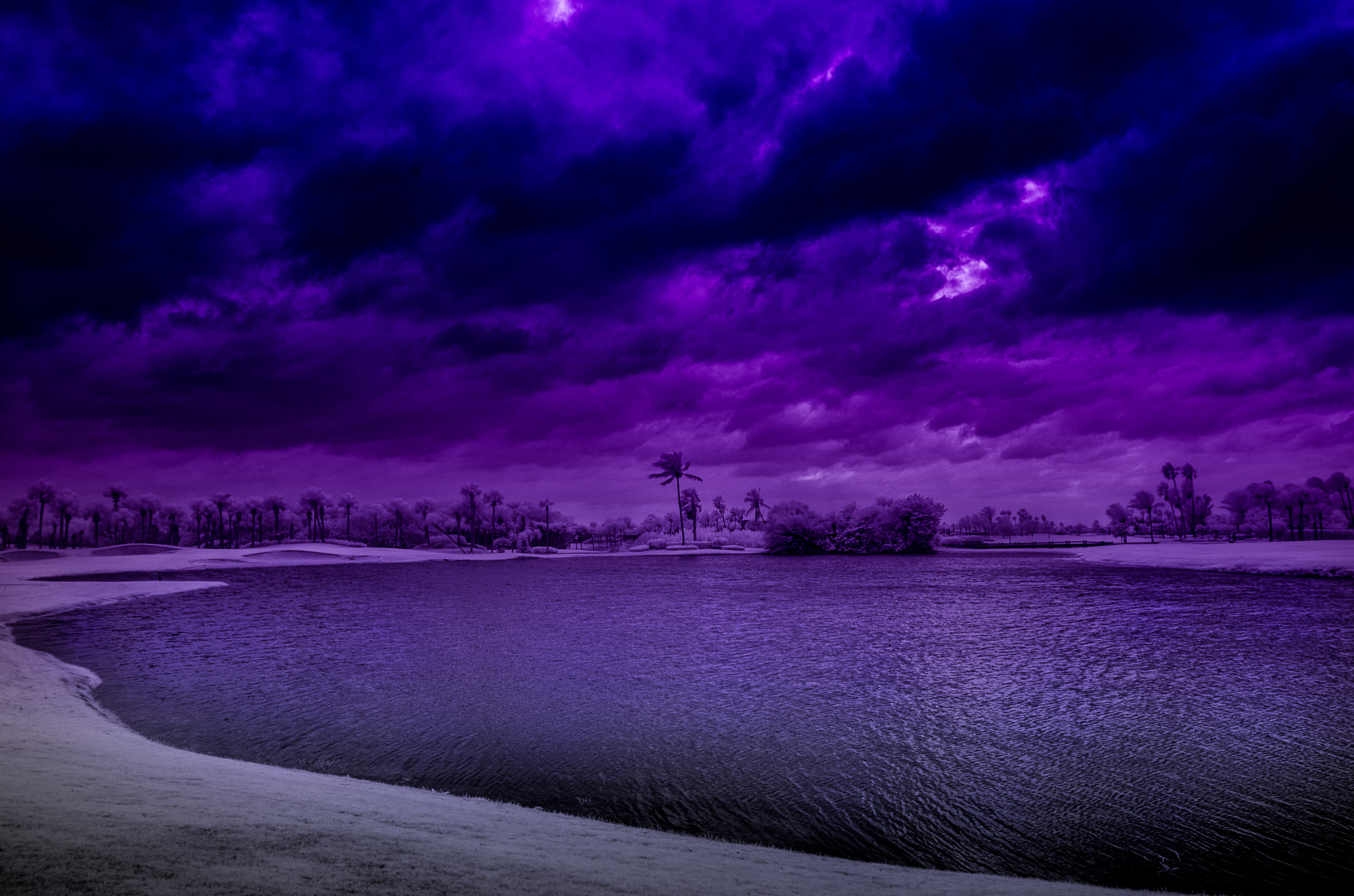 20140103_windy_day_0011