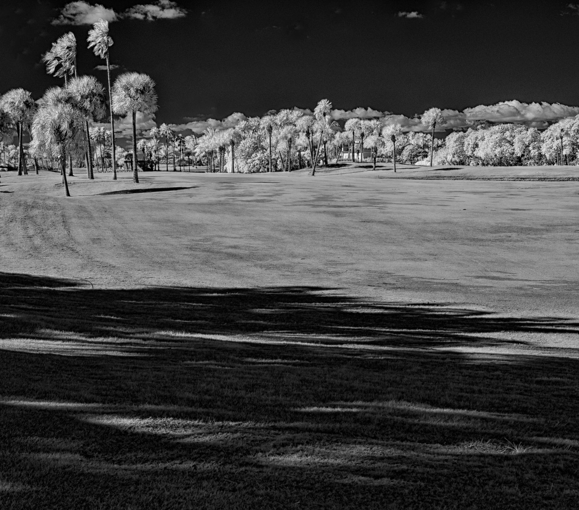 20140116_cold_windy_0020