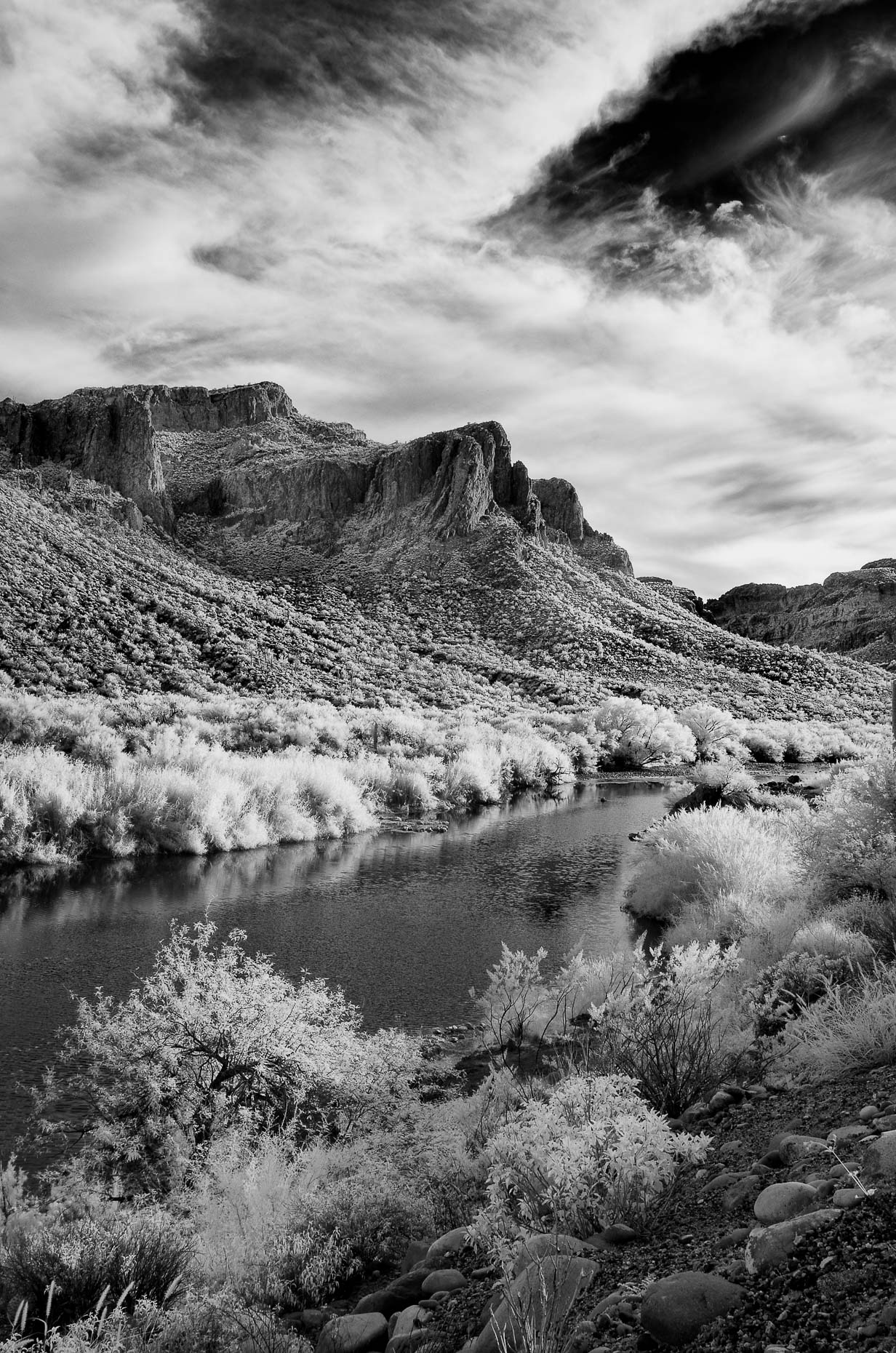 20141021_ej_arizona_0004