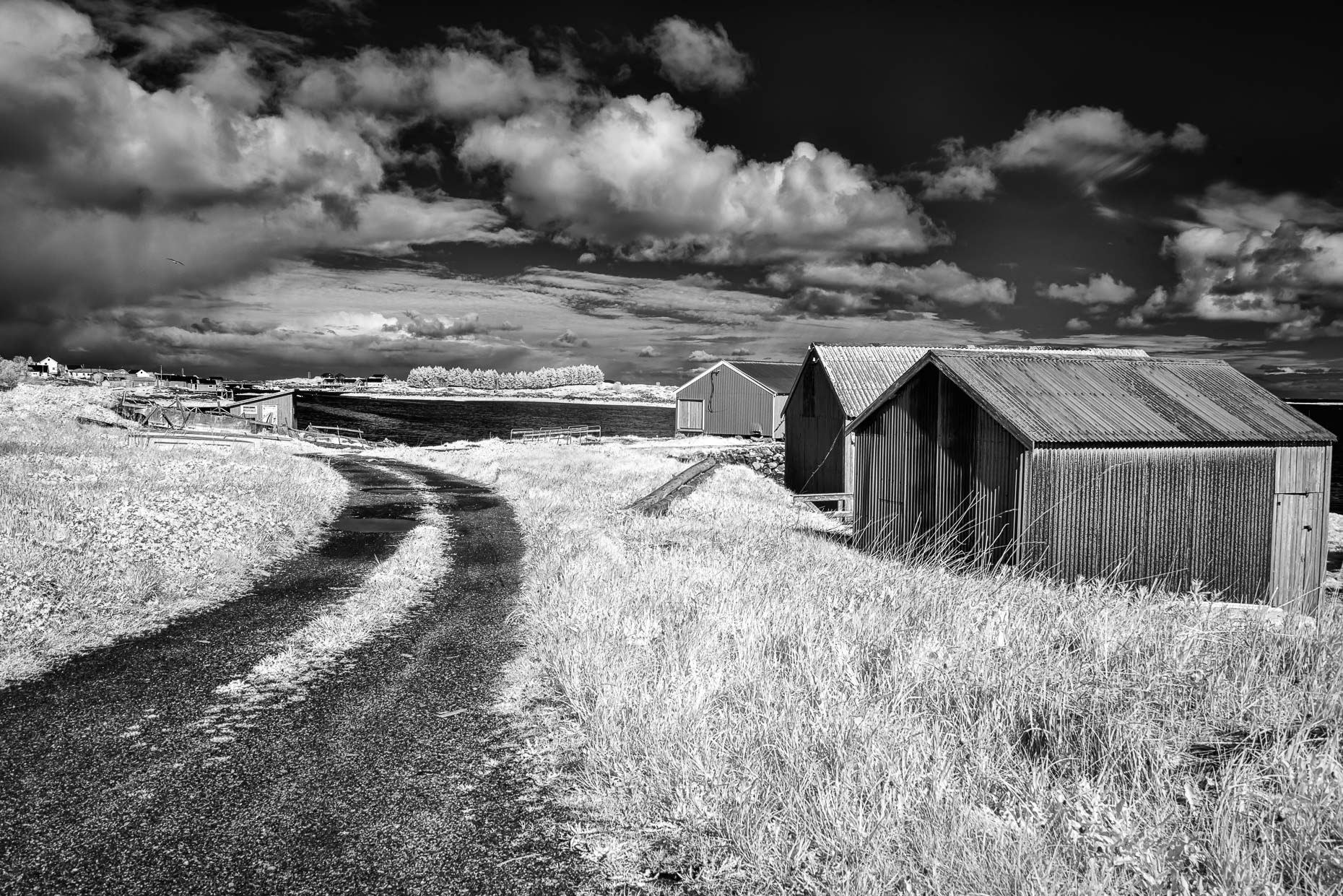 20150523_20150528_norway2_0080