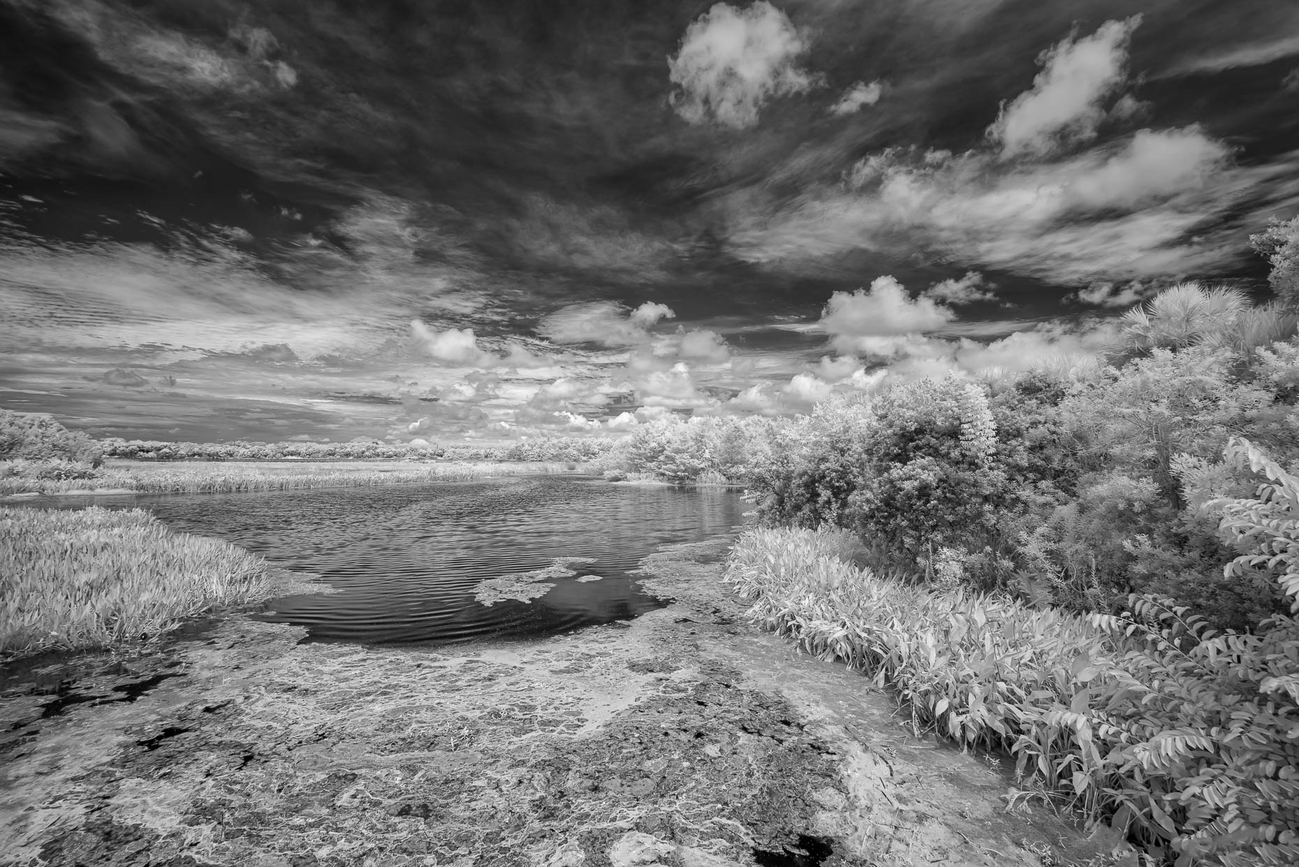 20150730_green_cay_0009
