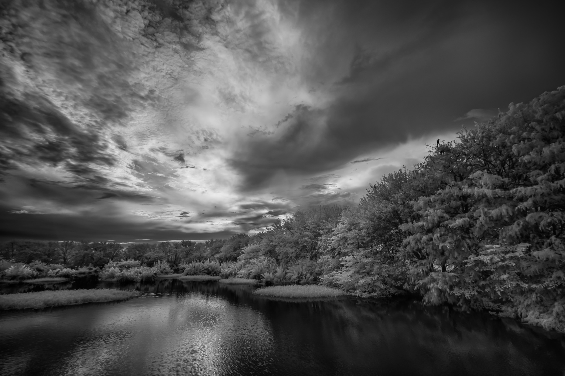 20150917_untitled_0033