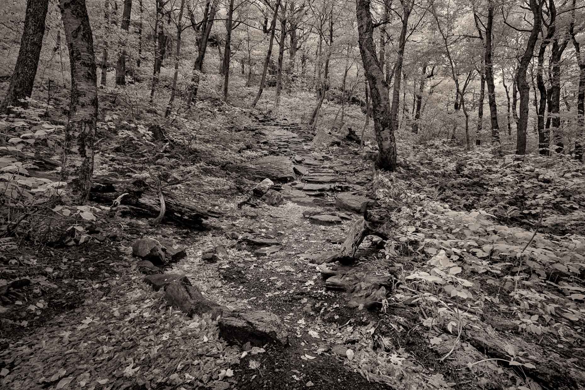 20151001_untitled_0004