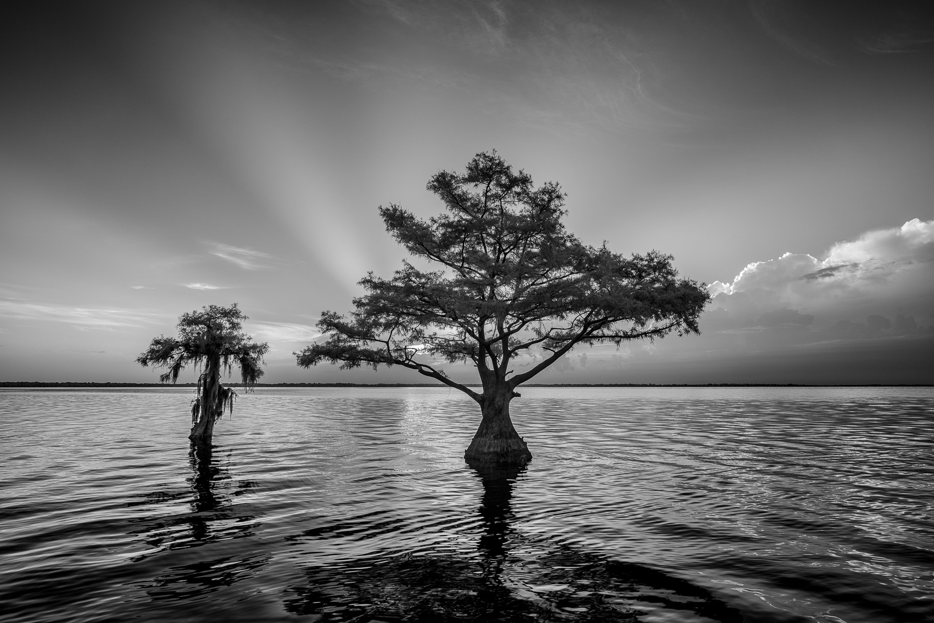 20160804_blue_cypress_lake_0010