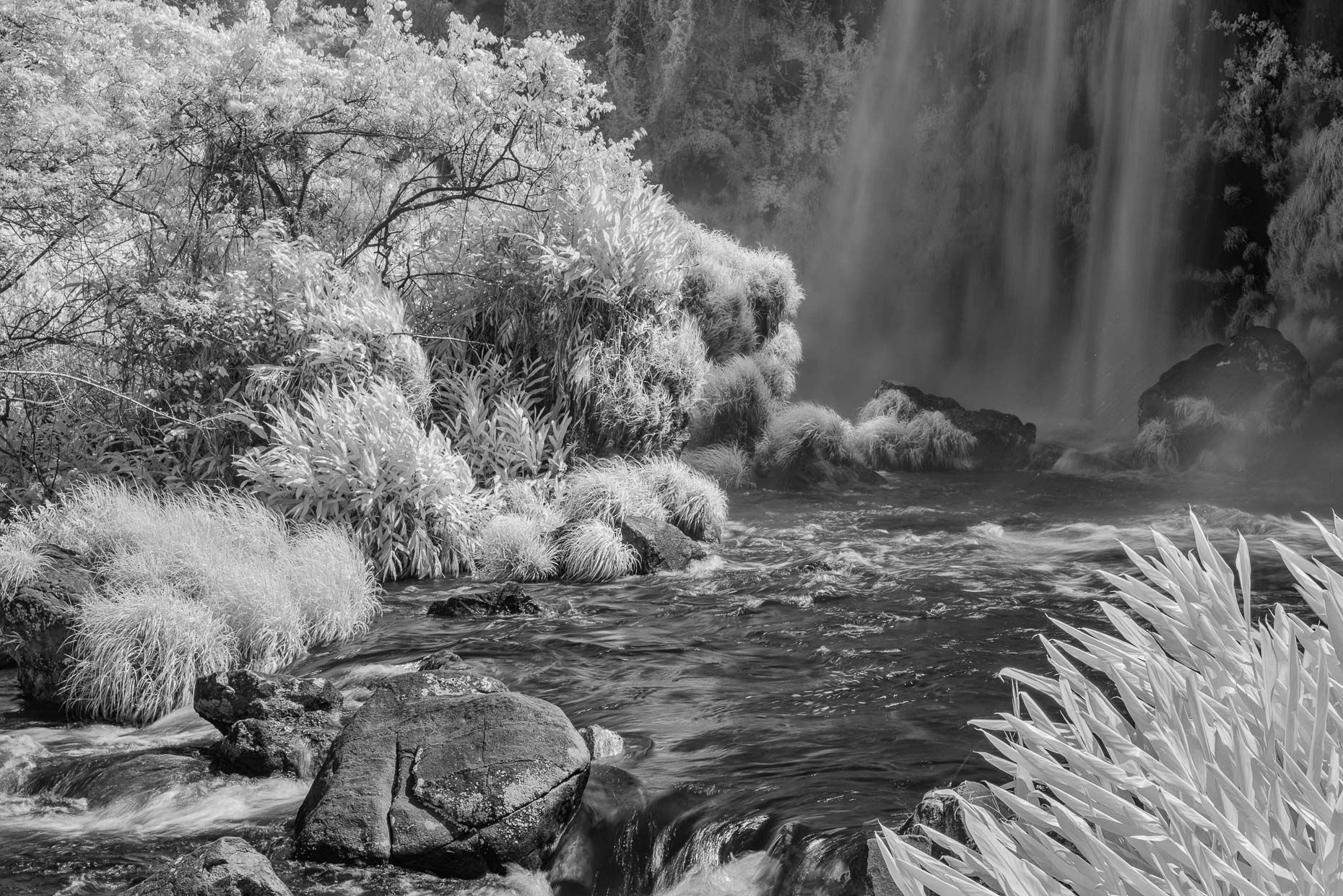 20161106_iguazu_falls_0009