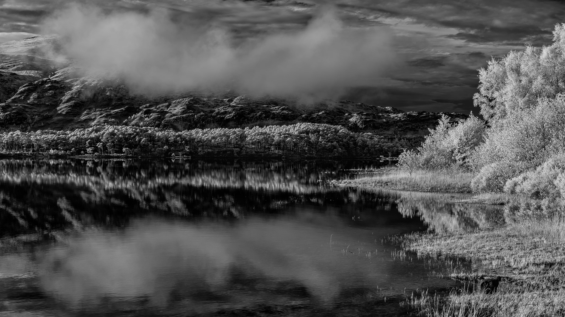 20170925_untitled_0012