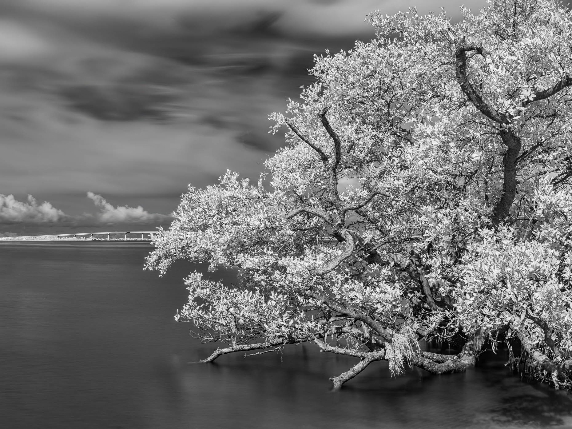 20171109_stuart_long_exposure_0016