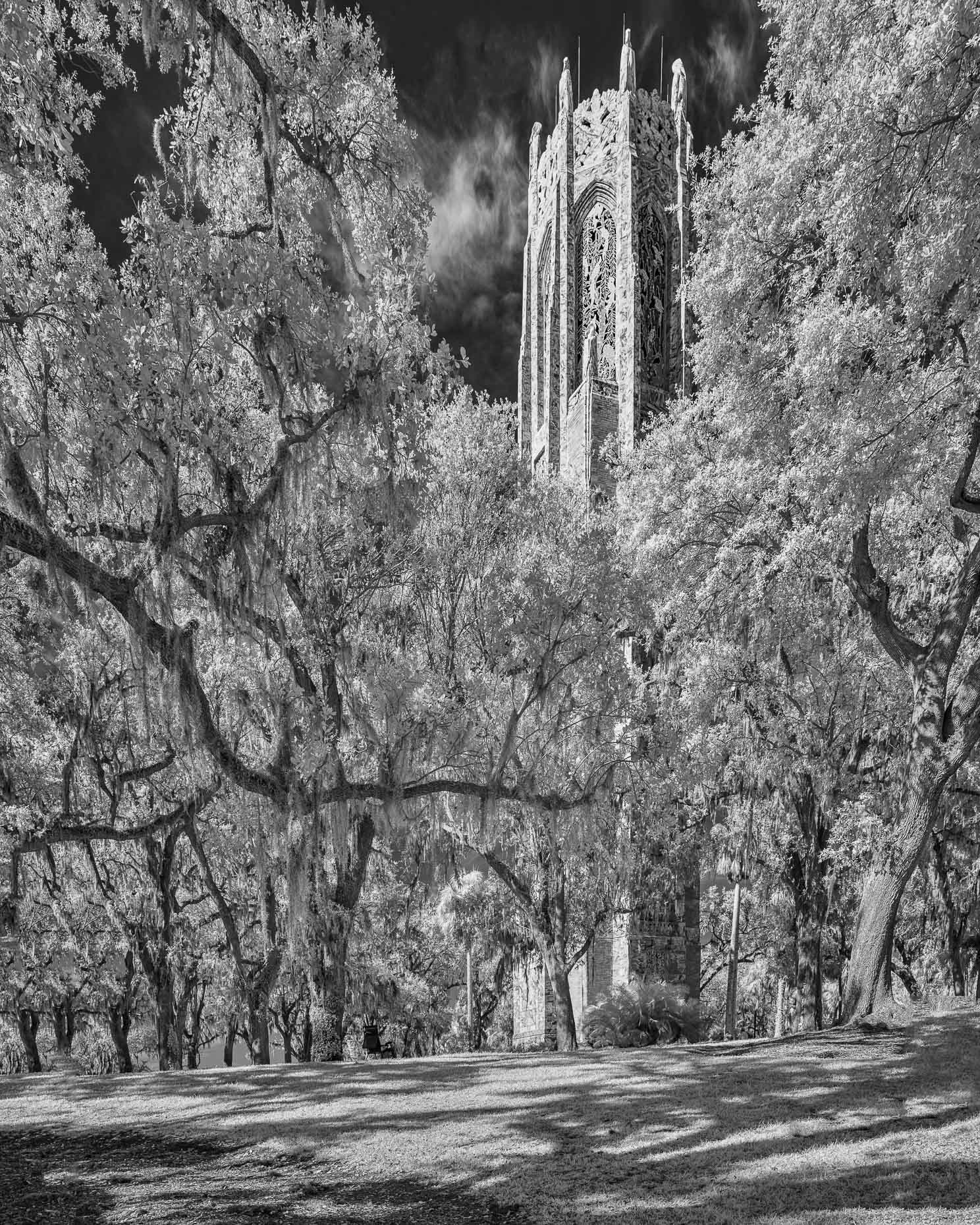 20171216_bok_tower_0015